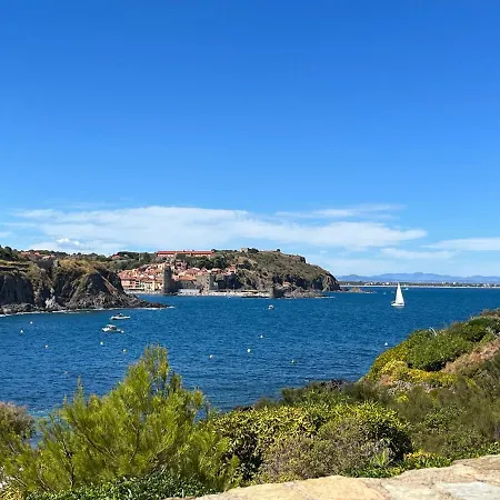 Les Batteries Face A La Collioure